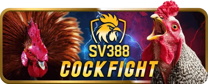 Hỗ trợ khách hàng VE88
